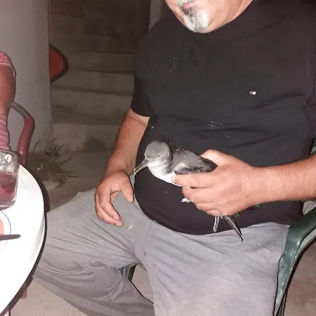 Hropic Daire Lastovo